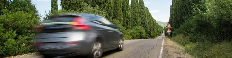 voiture lancée sur une route au milieu d'arbres