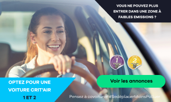 Voiture Renault Clio II occasion : annonces achat de véhicules